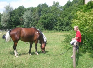 Semanas ecuestres para niños y adolescentes